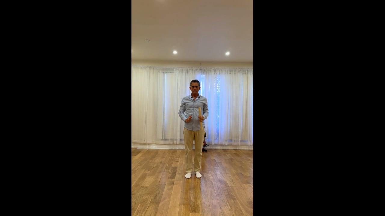 Energy Pass Demo II