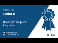 Novilla gran campeona internacional