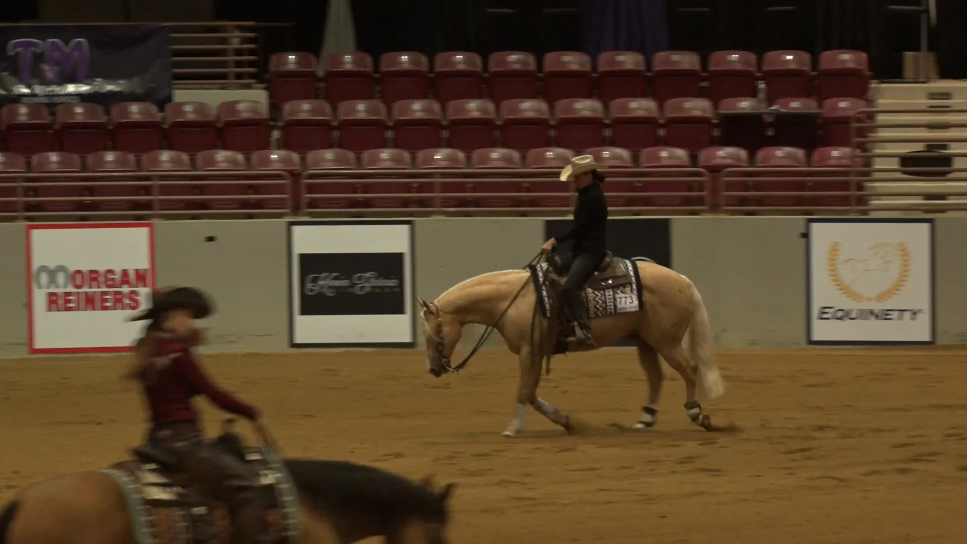 Florida Reining Classic OPEN DERBY Guns N Sparks And  Jennifer Ludemann