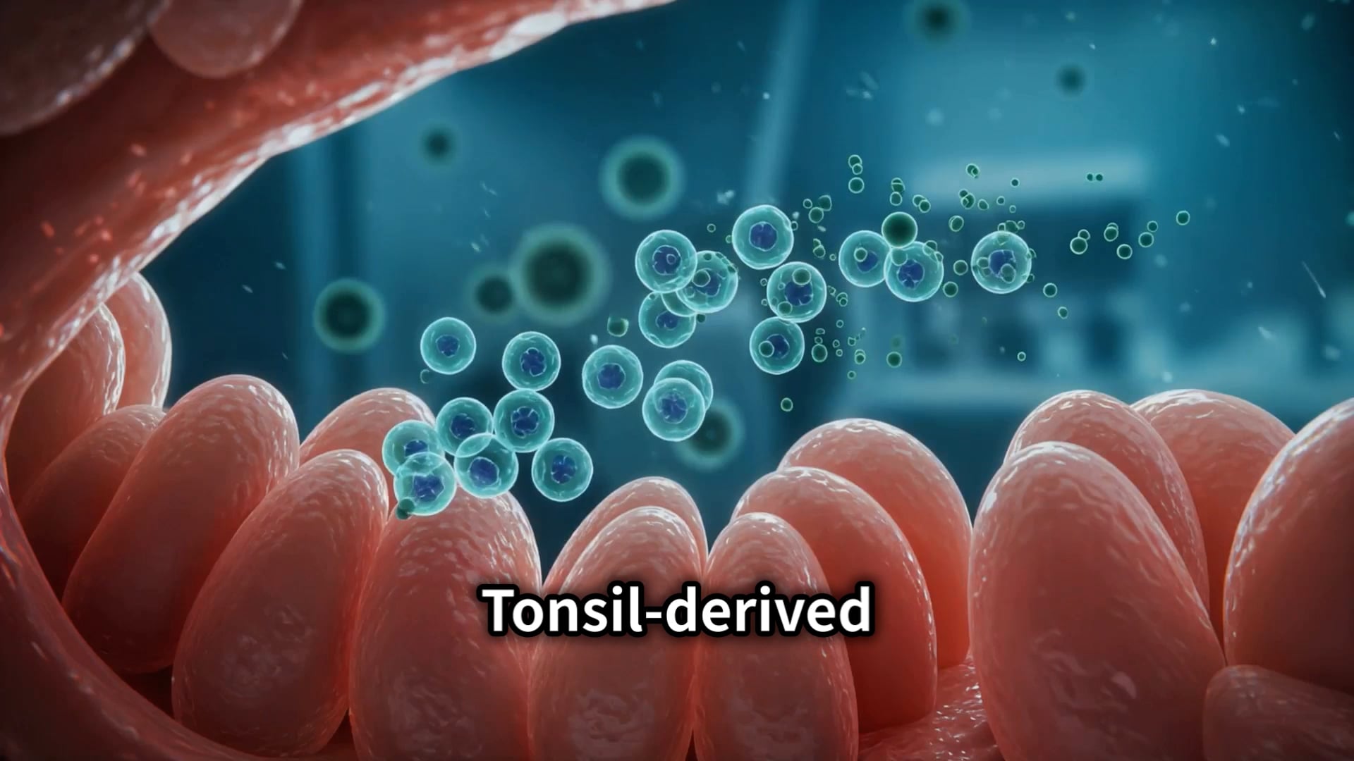 (English) Revolutionizing Medicine with Tonsil-Derived MSCs and Exosomes ,iTHREAD EXO