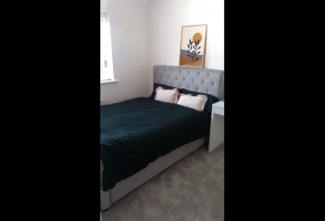 Video 1: Front View