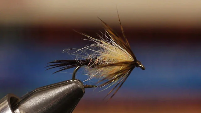 Olive Soft Hackle Fly Tying Video