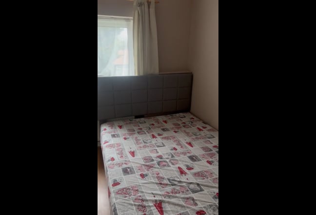 Double room for Single female  Main Photo