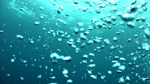 1059_Many air bubbles rising to ocean surface