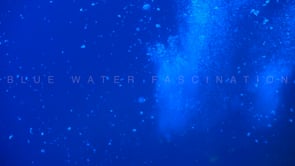 1647_Air bubbles slow motion