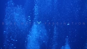 1890_Big stream of air bubbles rising to ocean surface