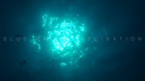 1894_Air bubbles rising to sunny ocean surface