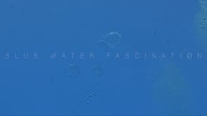 1892_Air bubbles underwater close up