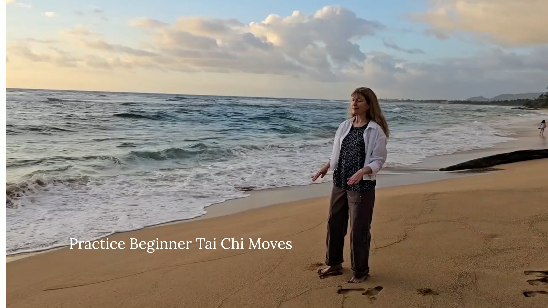 Tai Chi Practice Videos