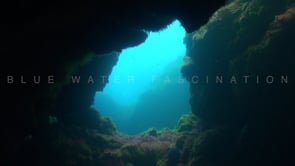1070_Underwater cavern in Azores
