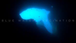 1073_Underwater cave with opening to blue ocean