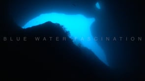 1074_Underwater cave with two openings