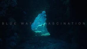 1839_small underwater cave with fish