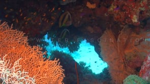 1844_Colorful underwater cave