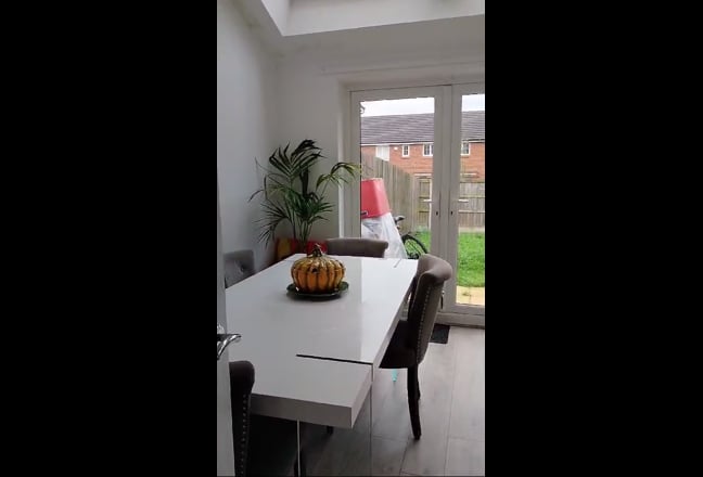 Video 1: