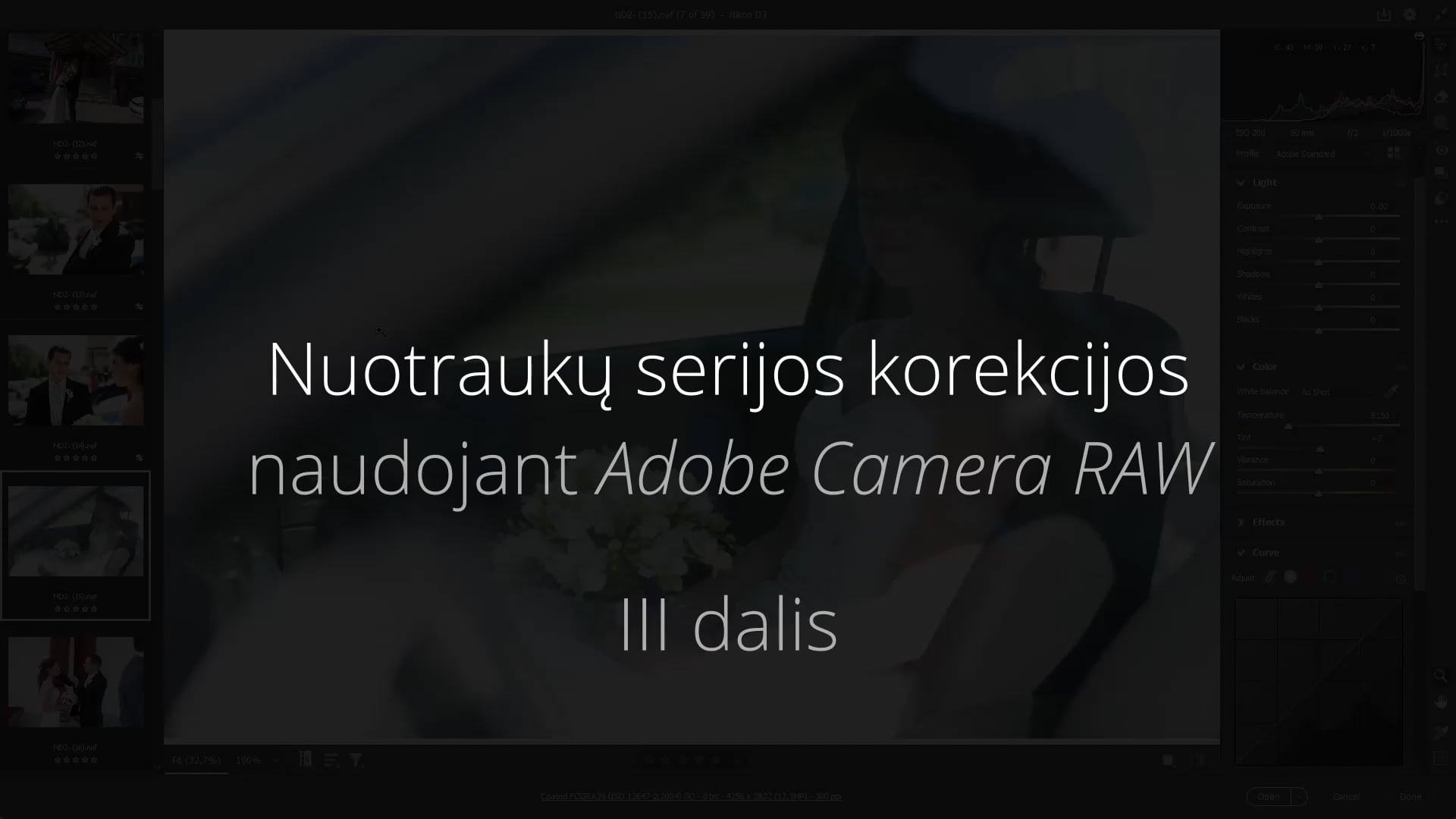 Nuotraukų serijos apdorojimas su CameraRAW (III dalis)