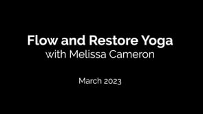 Related Embedded Video Item Thumbnail