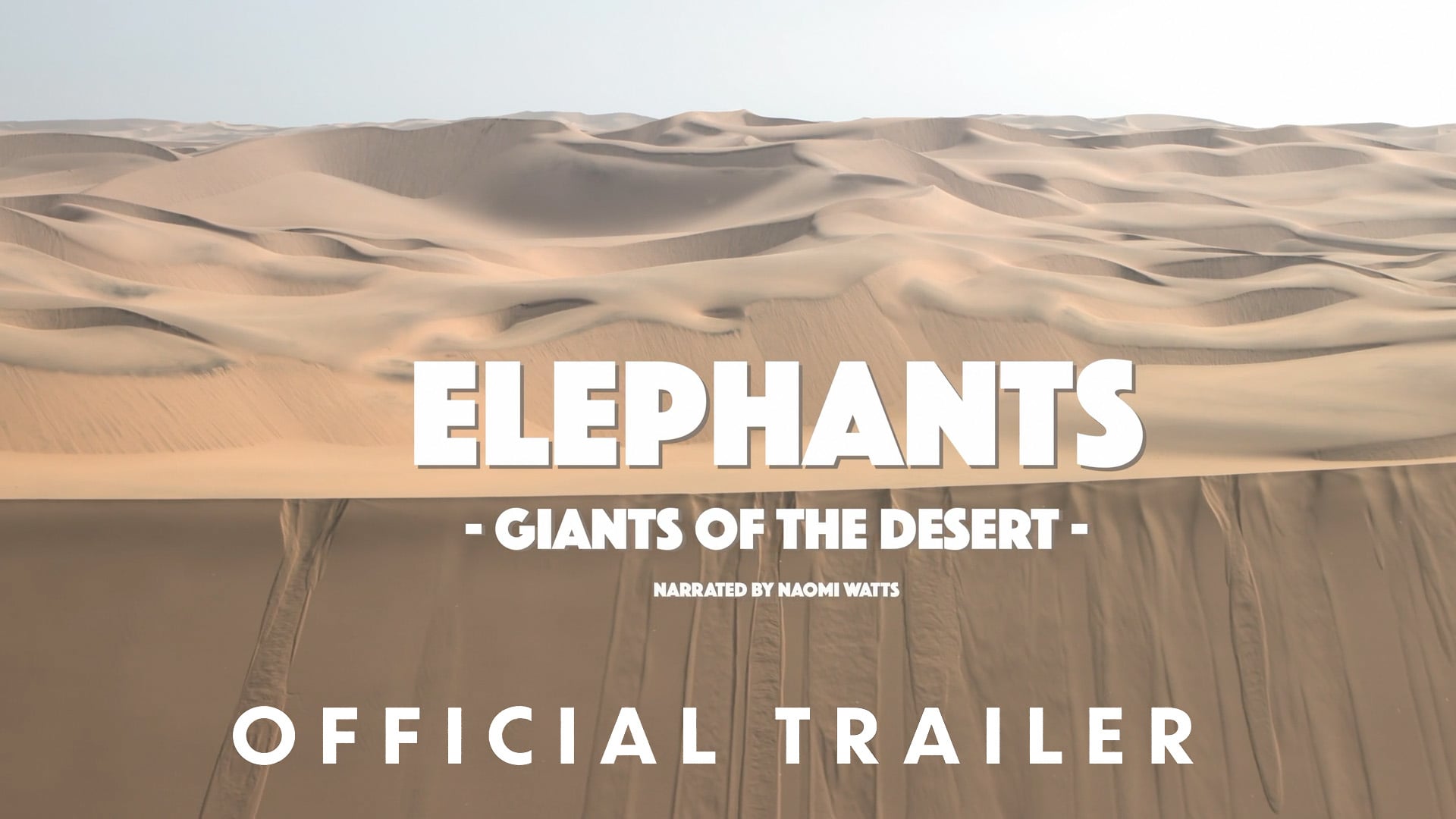 Elephants: Giants of the Desert (Narrated by Naomi Watts) - Official Theatrical Trailer [1080]