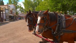 Heritage Park