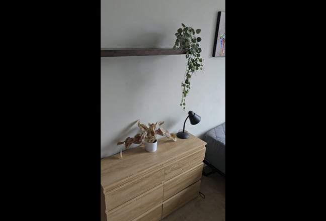 Double room for rent in Horsham Main Photo