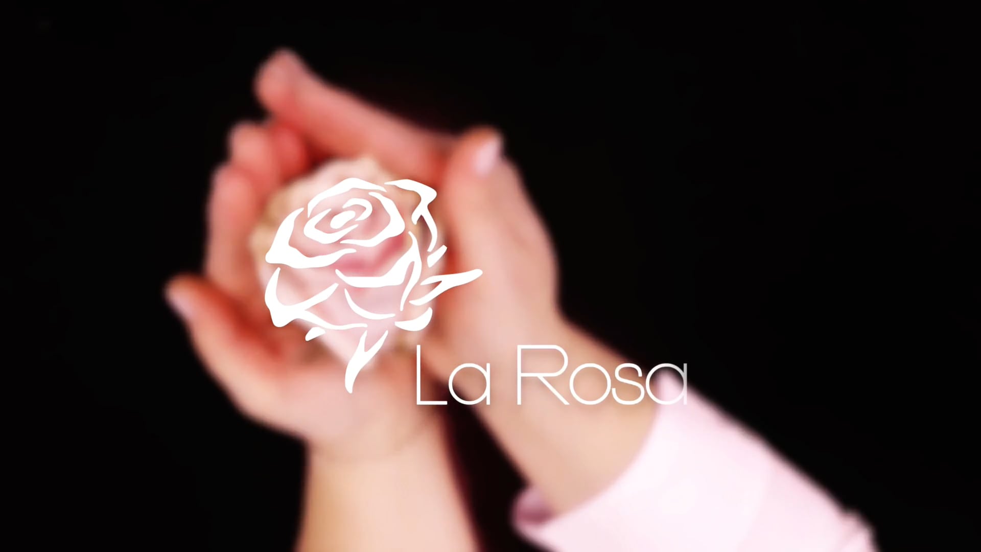 La Rosa — Znak w ruchu / Sign in Motion
