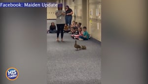 Mother Duck Special Guest at School