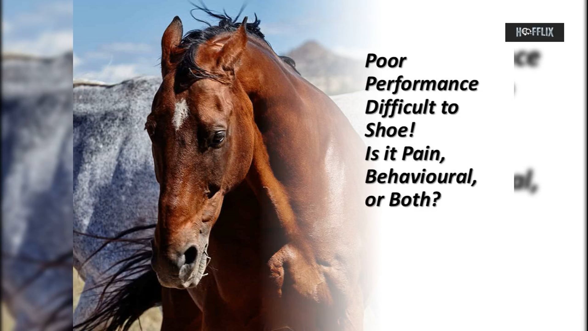 Is it Pain or Behavioural?