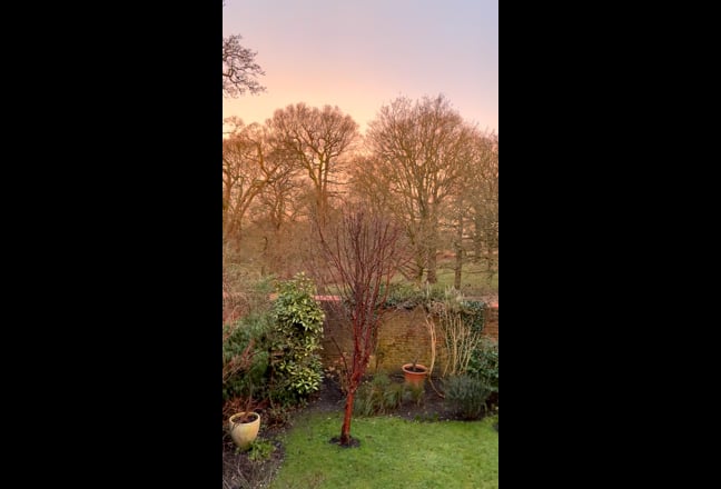 Quiet 2-bed hideaway overlooking Richmond Park Main Photo