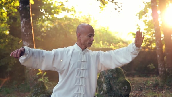 MasterClass – Taiji Quan Forme 13