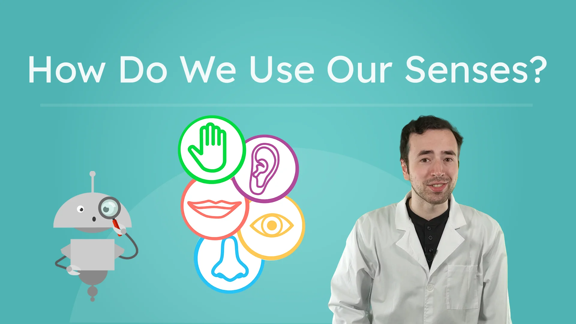 How Do We Use Our Senses?