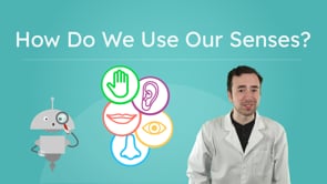 How Do We Use Our Senses?