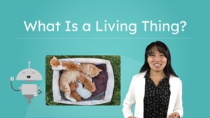 What Is a Living Thing?
