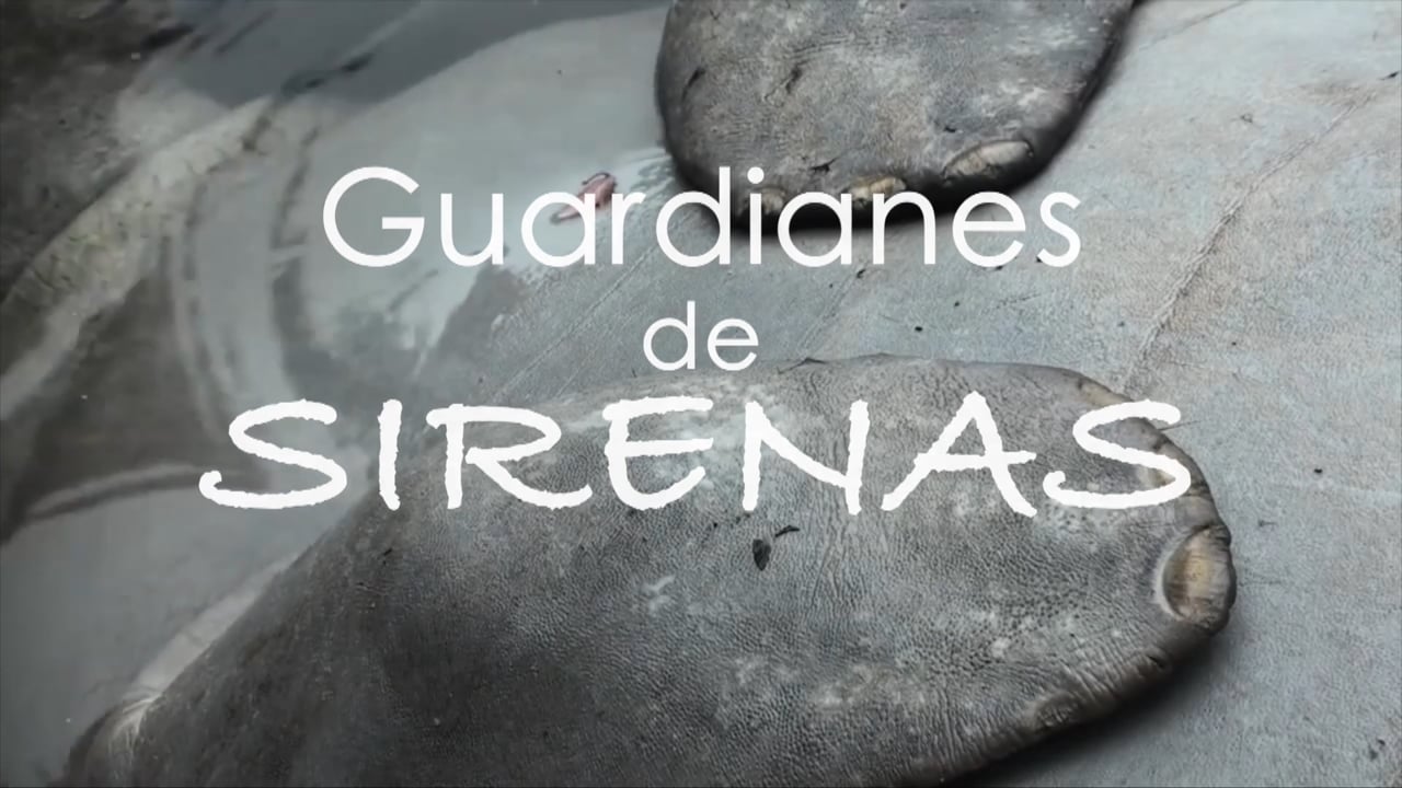 Guardianes de Sirenas