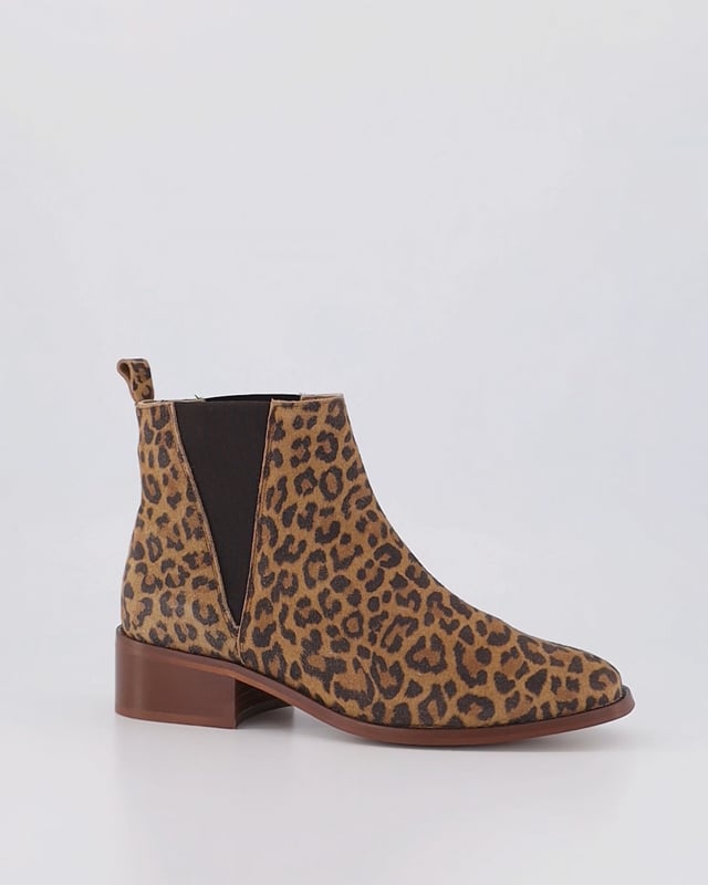 TICE / Leopard