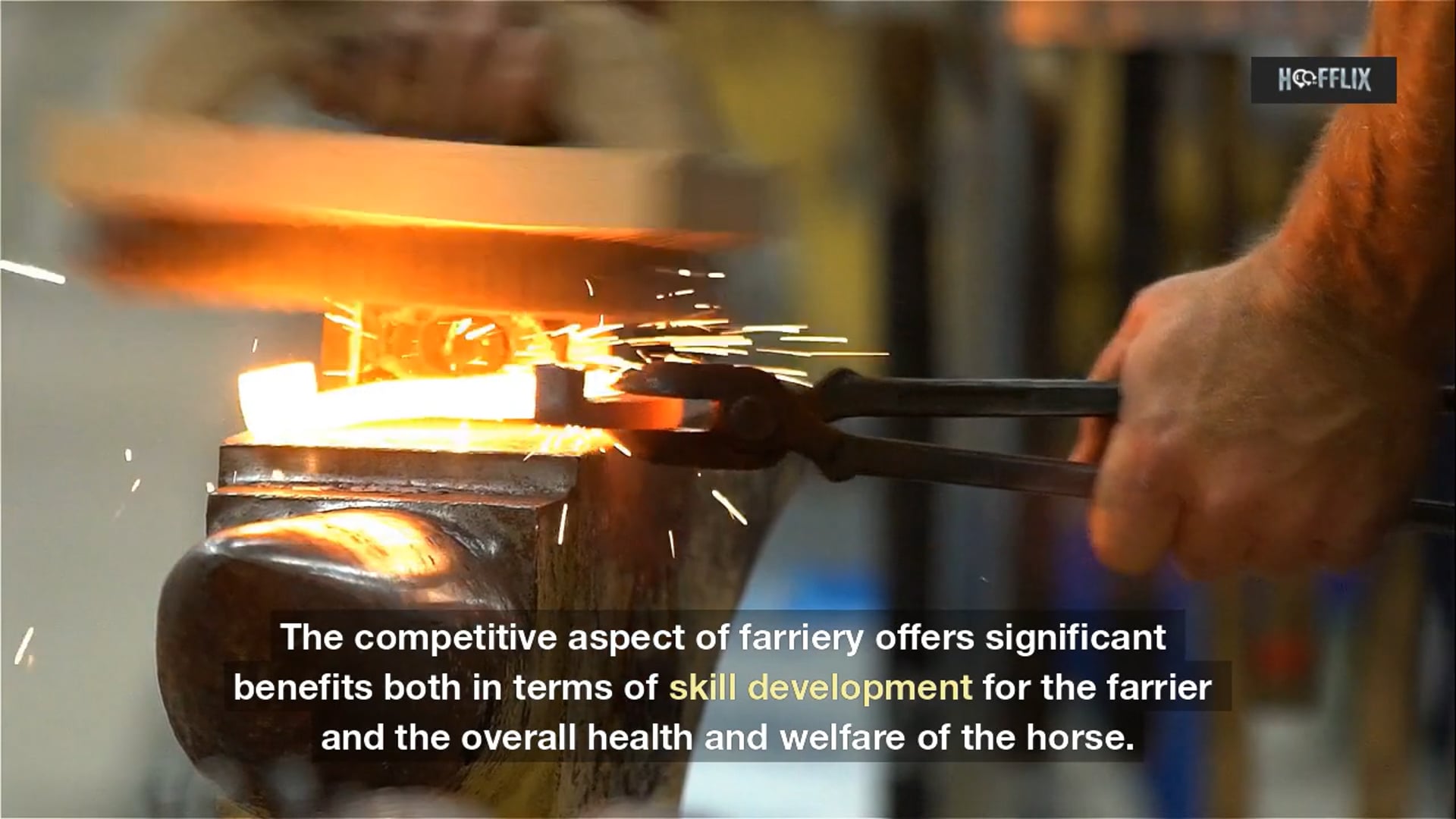The Competitive Aspects of Farriery