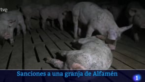 Informativos TVE Aragón | Gobierno de Aragón inicia expediente sancionador a granja denunciada por Igualdad Animal