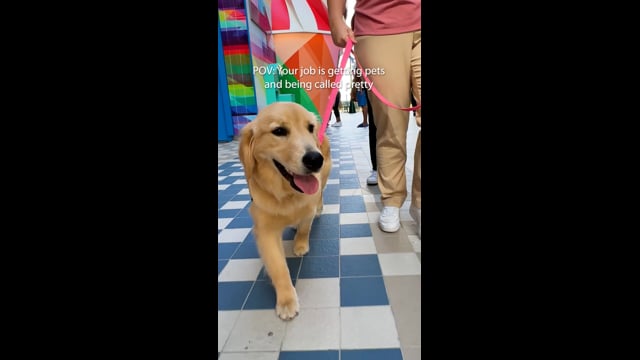 Royal Caribbean | Rover Bougie | Final
