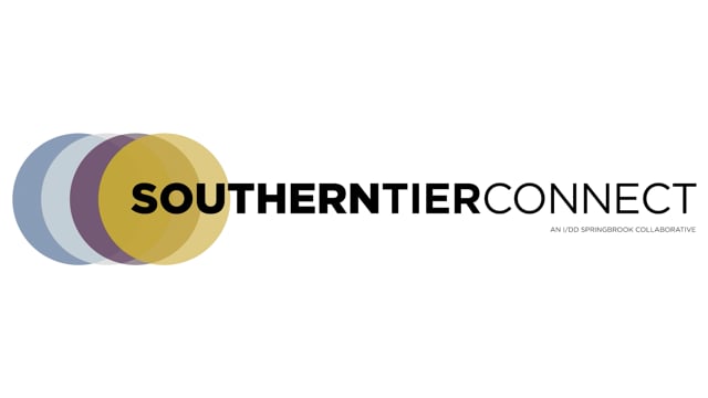 The Mental Hygiene Legal Service