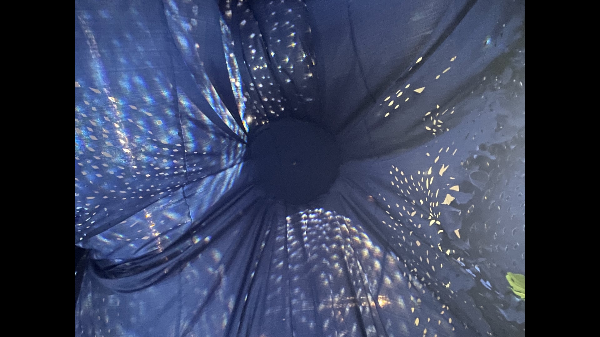 2025 February 19 : Reviewing the Central Importance of Concentration