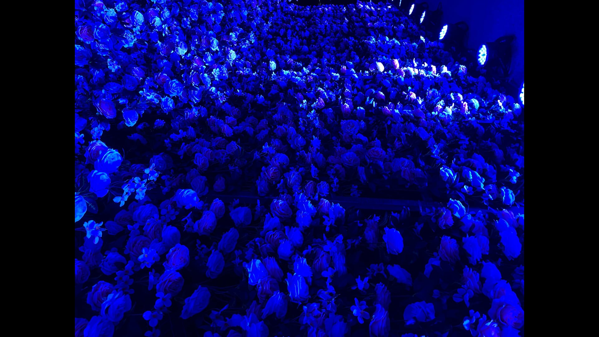 2025 February 17 : Momentary Concentration: Khanika Samadhi