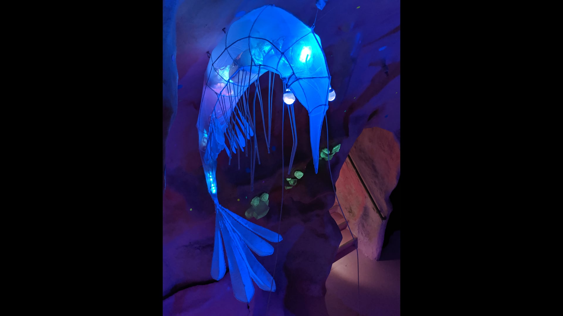 2025 February 12 : Developing the Staying Power of Calm