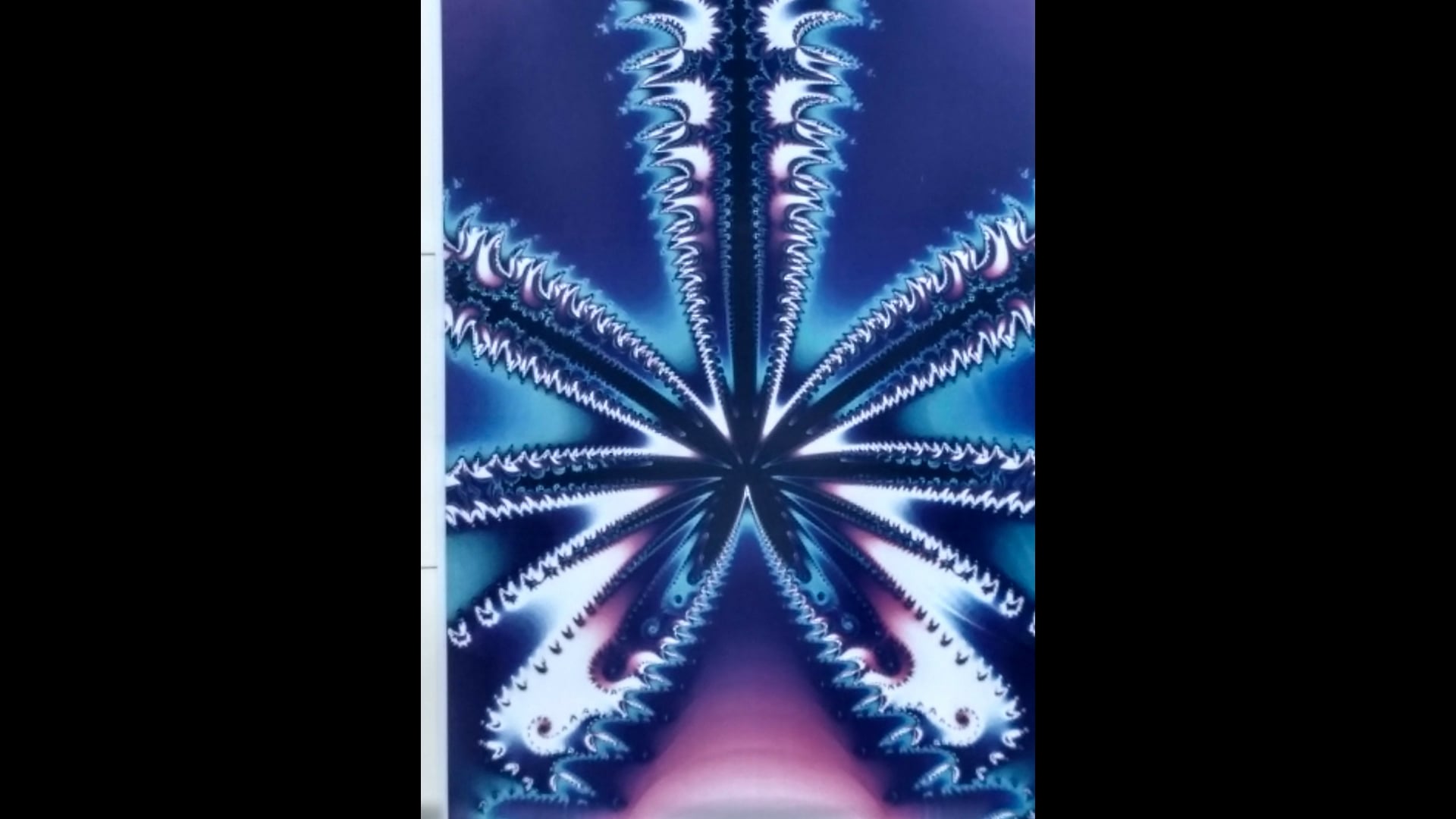 2025 February 10 : Concentration & the Holding Environment