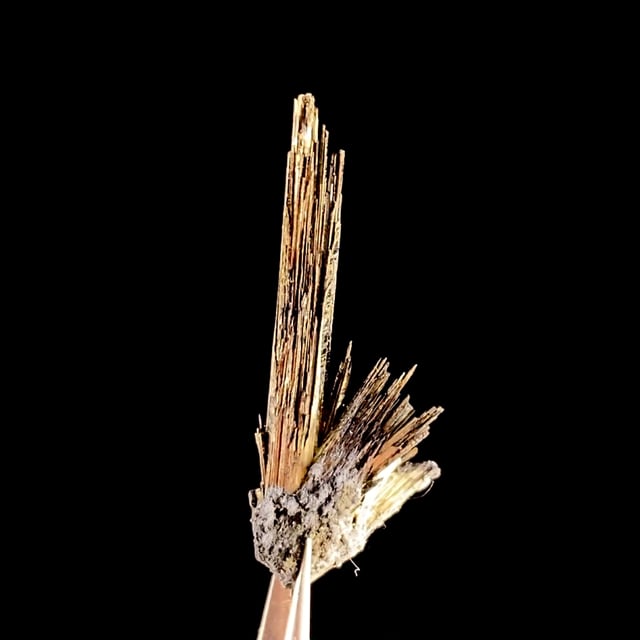 Millerite (fine rare locality specimen)
