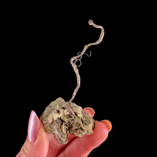 Wire Silver