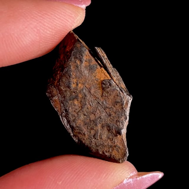 Native Iron (Octahedrite) (rare)