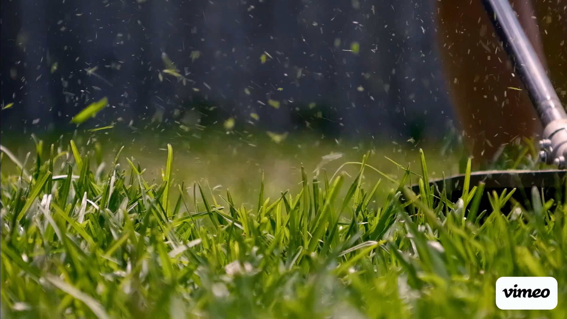NC Fresh Cut Lawns