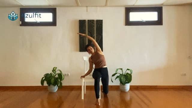 NEW! Pilates In A Chair