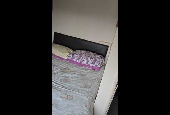Video 1: