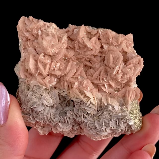 Rhodochrosite transitioning to Siderite