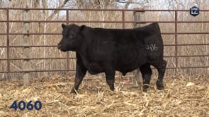 Lot #4060 - LZ CEDAR WIND 4060